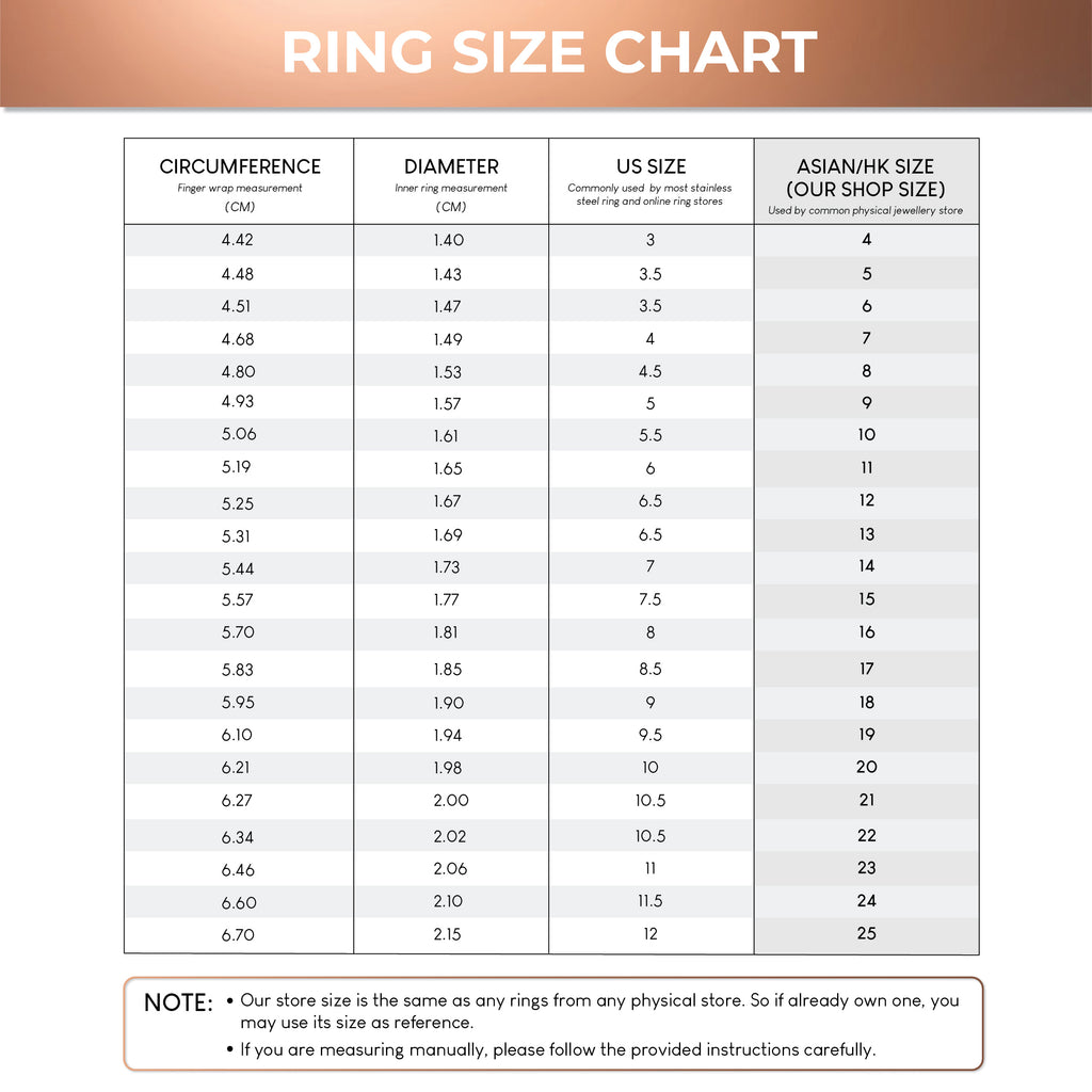 ELFI Lykan 925 Silver Palladium Ring – PLD1